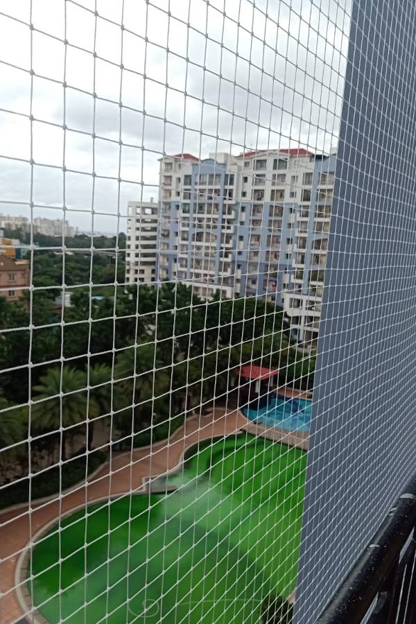 Anti Bird Nets Near Me