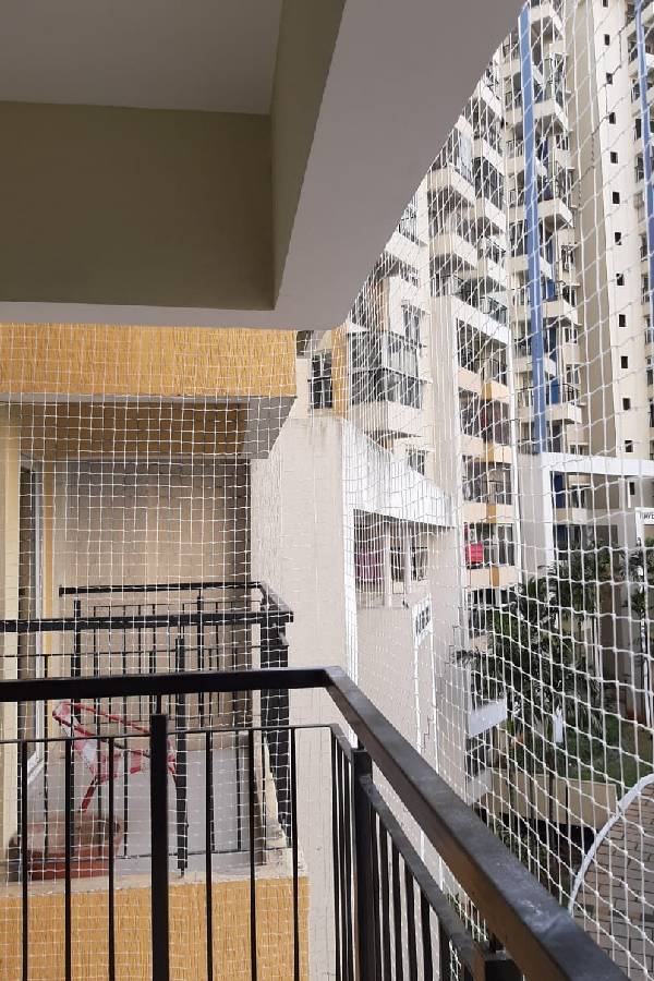 Pigeon Safety Nets Near Me